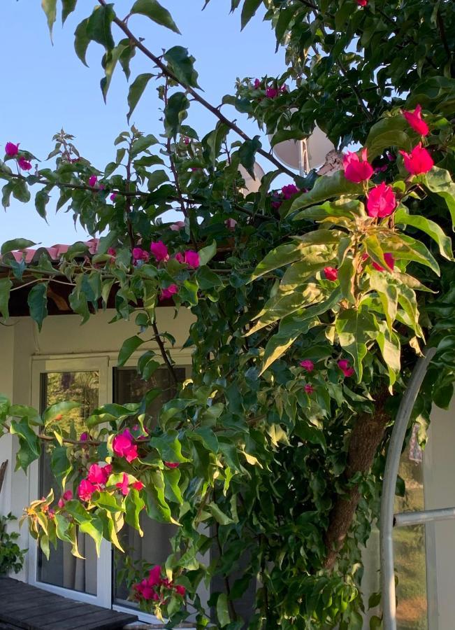 La Casa Di Mare Agios Gordios (Corfu)